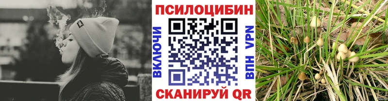 mega ONION  Яхрома  Псилоцибиновые грибы Cubensis 